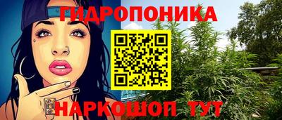 PSILOCYBIN Моздок