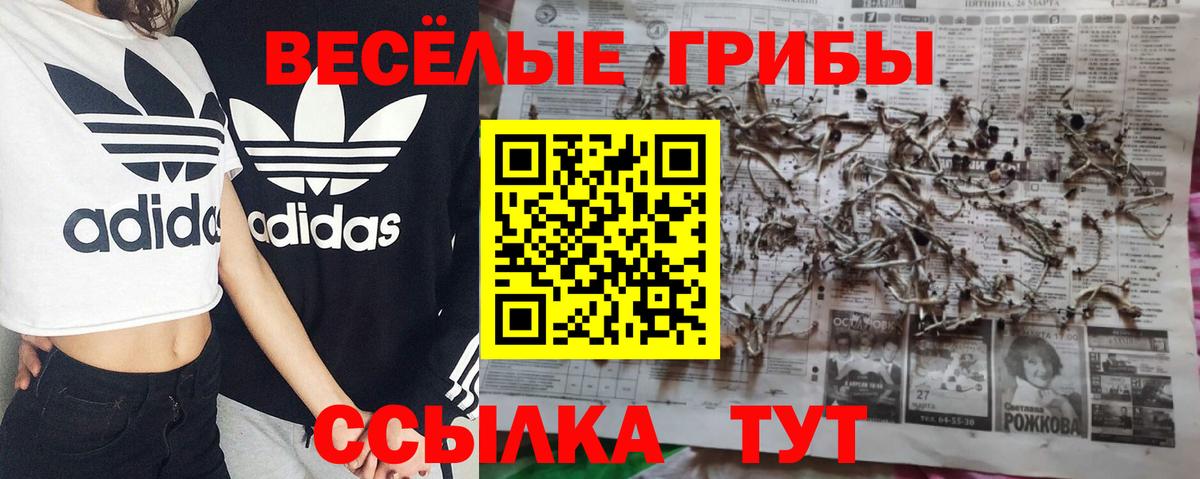 Северодвинск  Псилоцибиновые грибы мицелий  Вход с VPN 