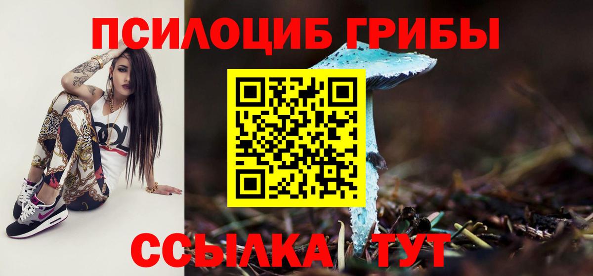 Галлюциногенные грибы Cubensis Северодвинск